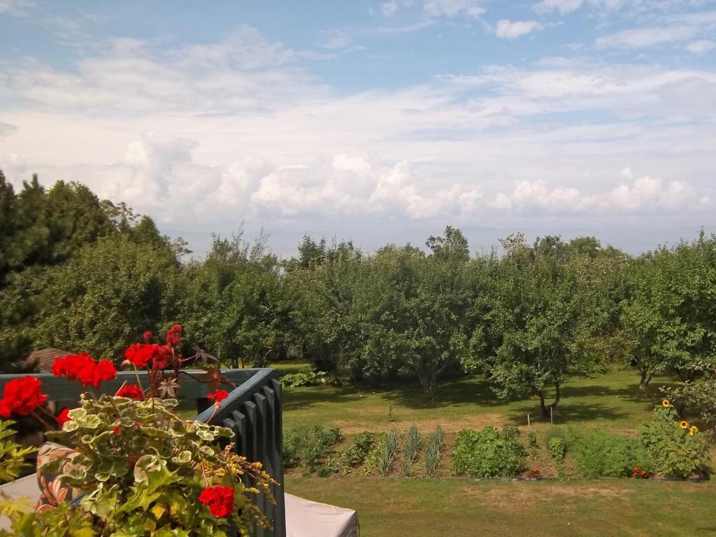 Gîte La Halte Du Verger Bed&Breakfast Rivière-du-Loup Extérieur photo